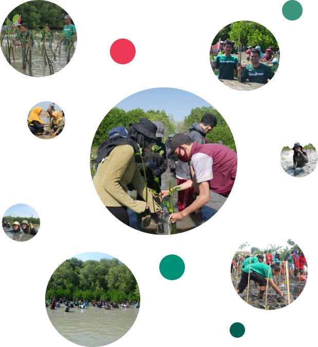 Annual Report 2020 LindungiHutan