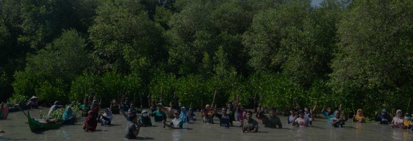 LindungiHutan